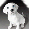 /album/fotogaleria/a10292-a4ab5c-gif/